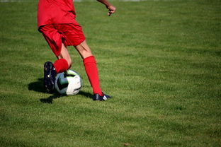 kaiyun.com-俱乐部青训体系与职业联赛脱节，俱乐部青训有工资吗