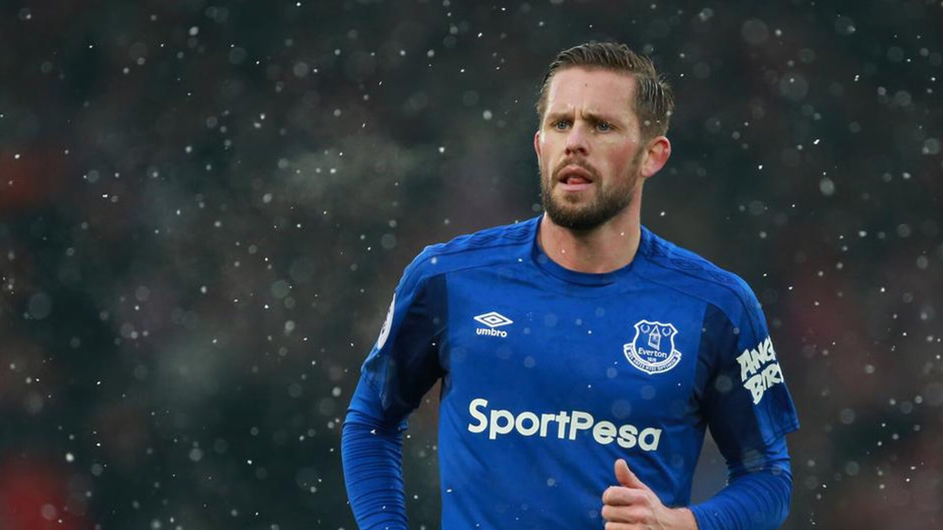 全球车迷狂欢：不同国家的赛场习俗，国外赛车场地