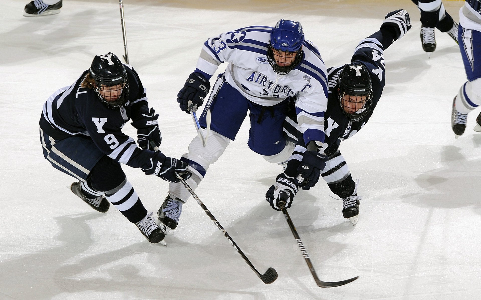 青少年“绿色运动”公益行动在新疆持续推行，践行低碳生活理念